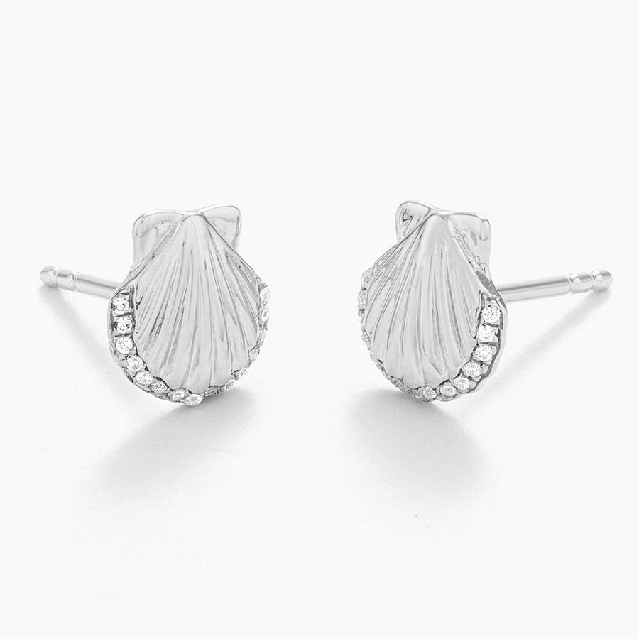 Buy Sandy Seashell Studs Online - 4