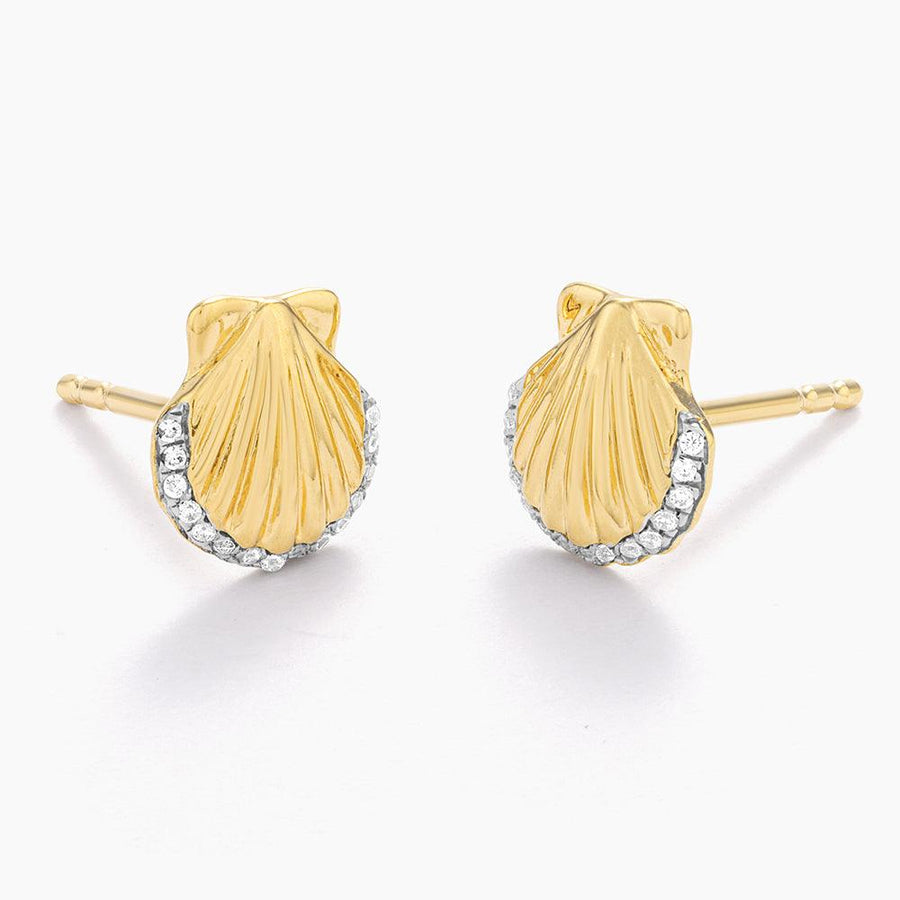 Buy Sandy Seashell Studs Online