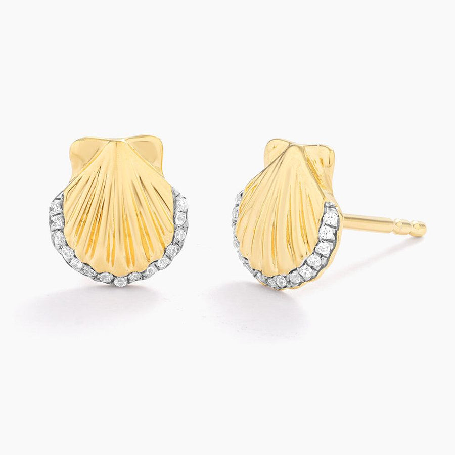 Buy Sandy Seashell Studs Online - 1