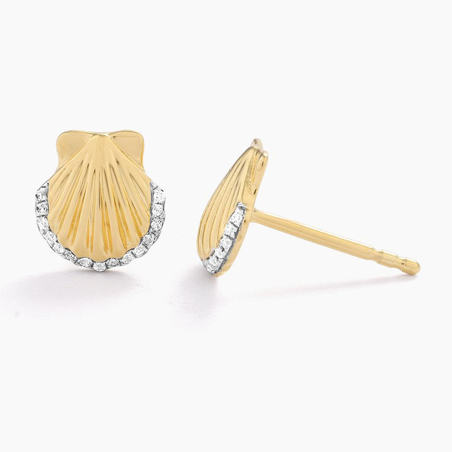 Buy Sandy Seashell Studs Online - 2