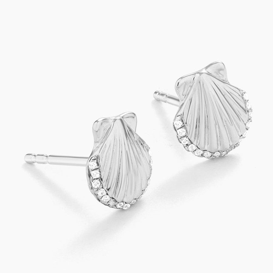 Buy Sandy Seashell Studs Online - 7