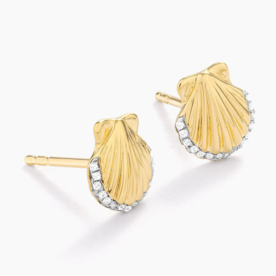 Buy Sandy Seashell Studs Online - 3