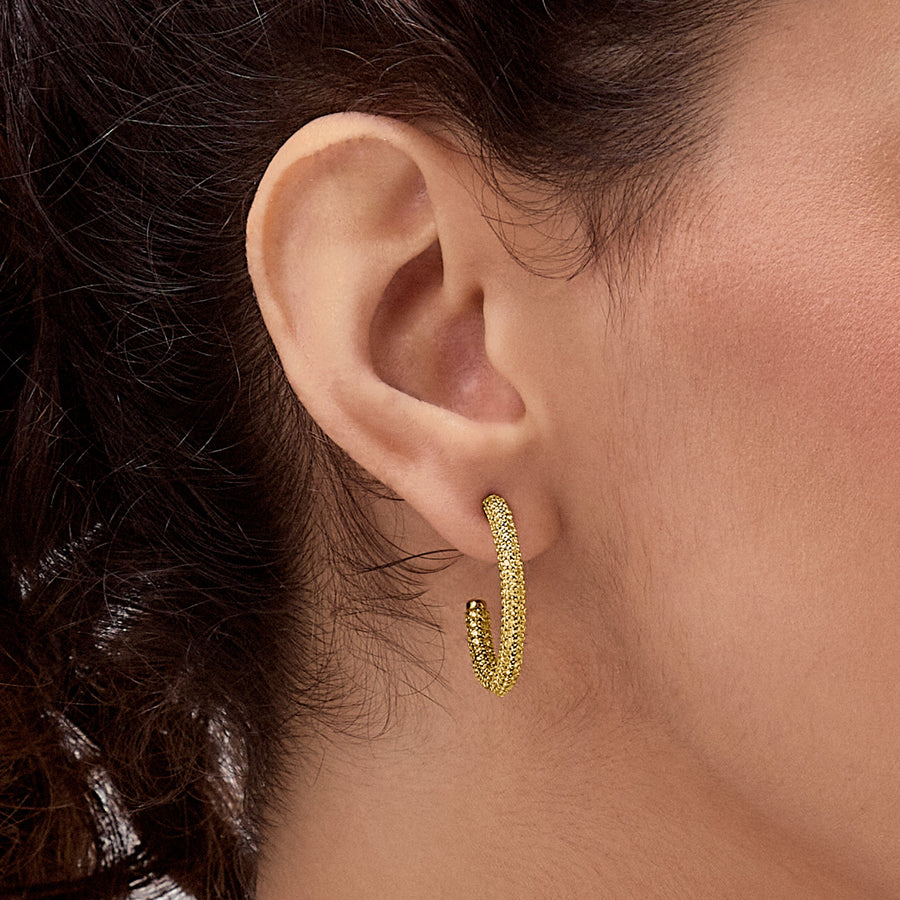Hello Ella Hoop Earrings in Yellow